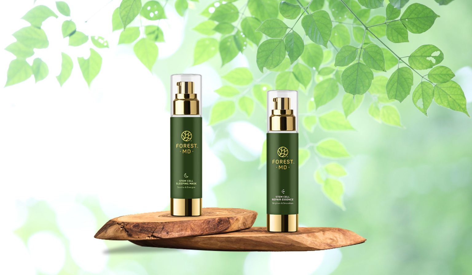 Stem Cells in Skincare and the Power of Stem Cell Sleeping Masks | IYAC ...